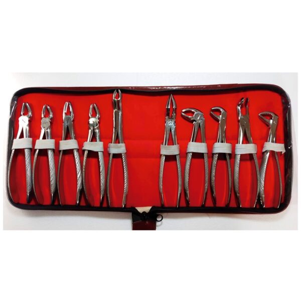 Forceps Panorama - Forceps Juego X 10
